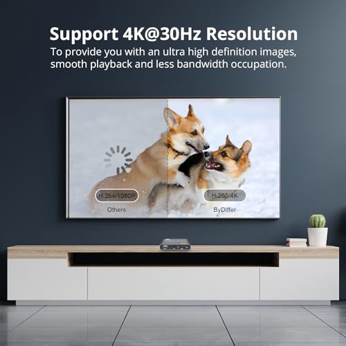 4K Digital Media Player with HDMI and AV Output T40743