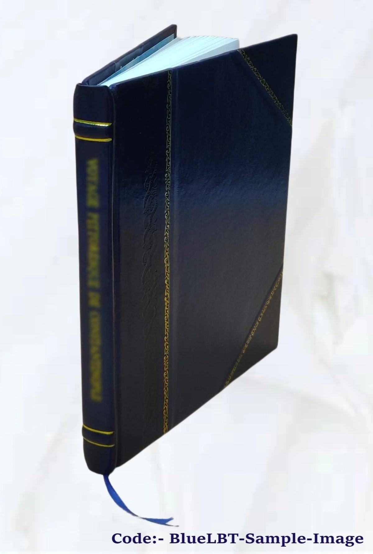 Der Roman eines Dichterlebens B4610