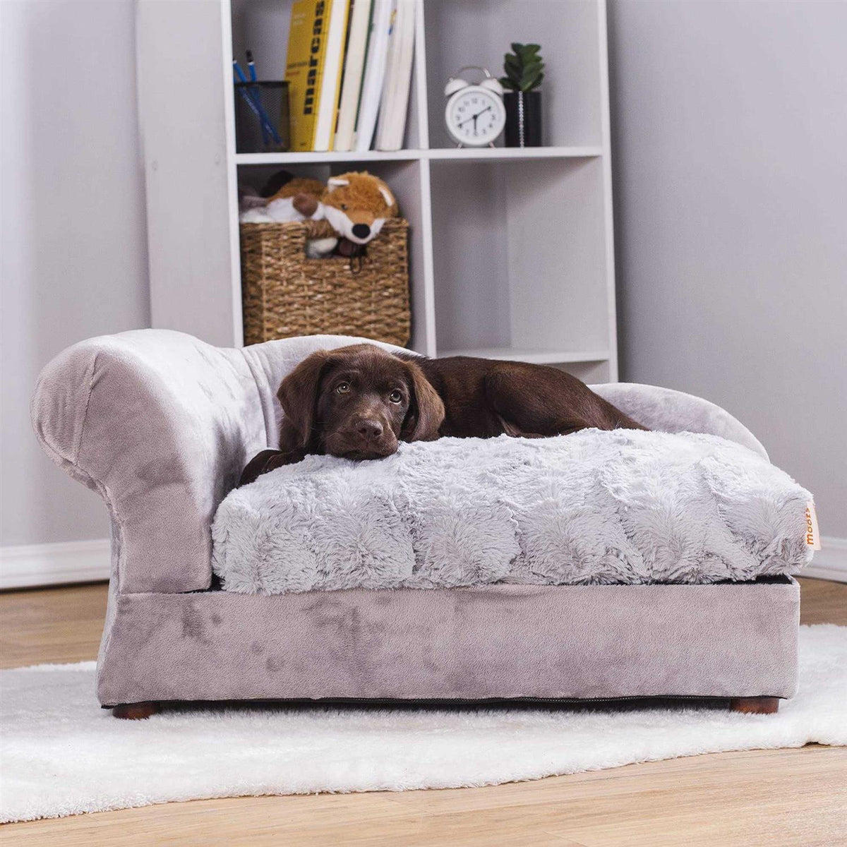 Chaise Lounge Pet Bed O21963