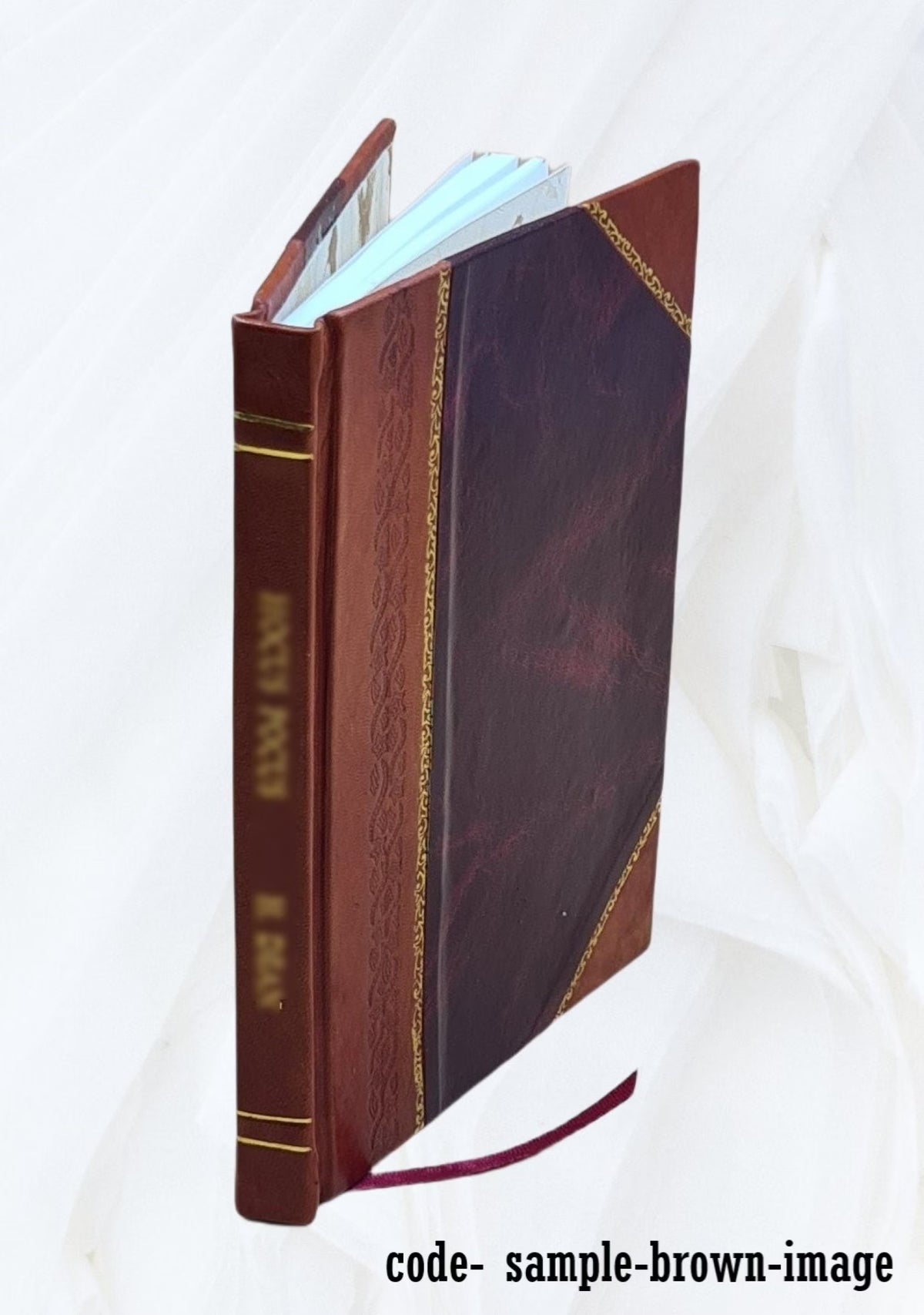 Der Roman eines Dichterlebens B4610