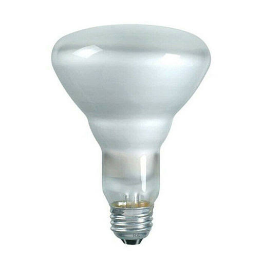 65W 130V BR30 Incandescent Light Bulb R240599