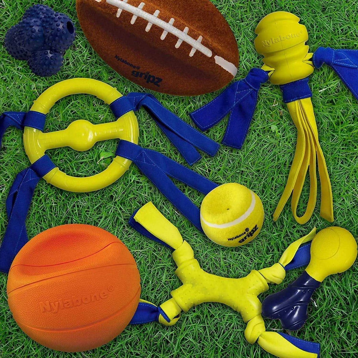 Dog Toy N954