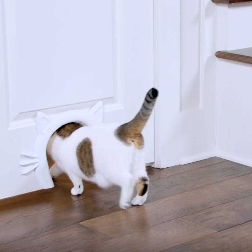 Cat Door for Interior Doors E759