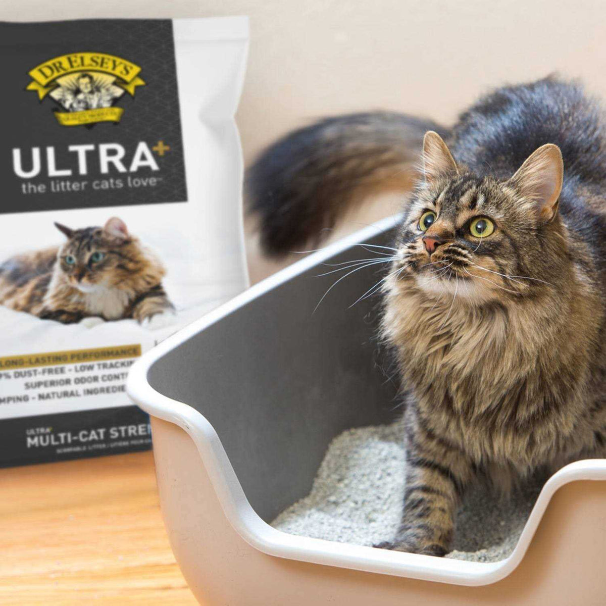 Cat Litter L1662