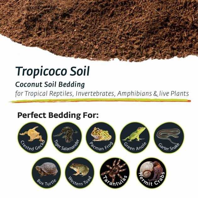 Coconut Soil Invertebrate Bedding B979