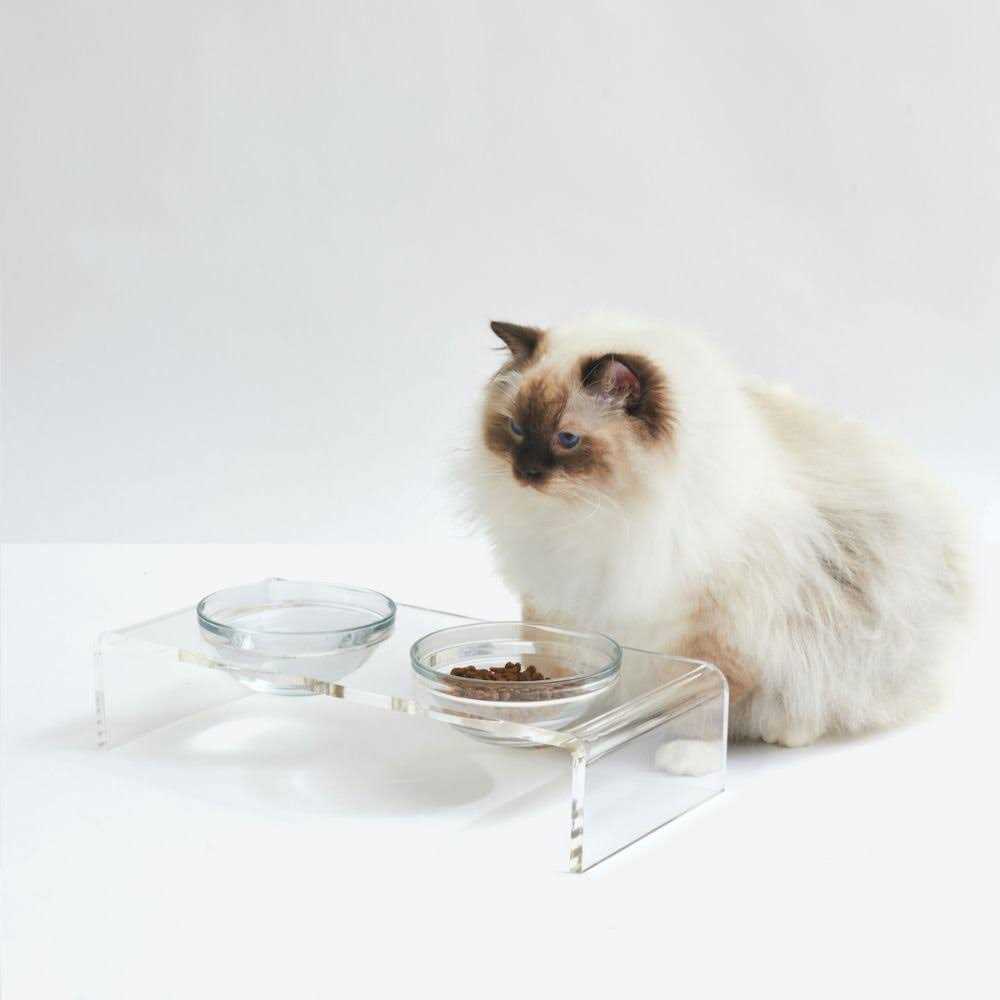 Clear Elevated Glass Bowl Feeder W703918