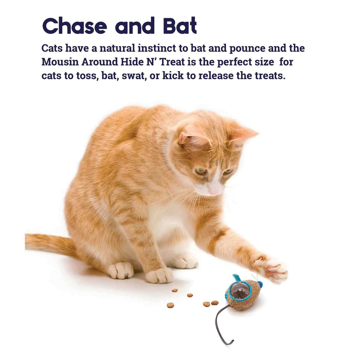Cat Toy Z91552
