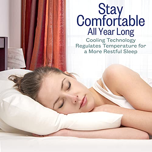 2 Pack King Cooling Gel Fiber Filled Pillow L810621