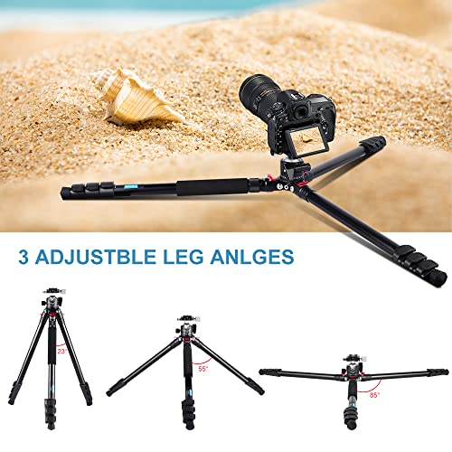 Carbon Fiber Tripod with Ball Head I6129