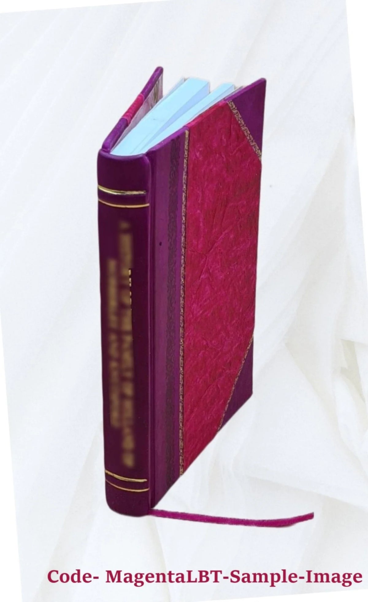 Der Roman eines Dichterlebens B4610