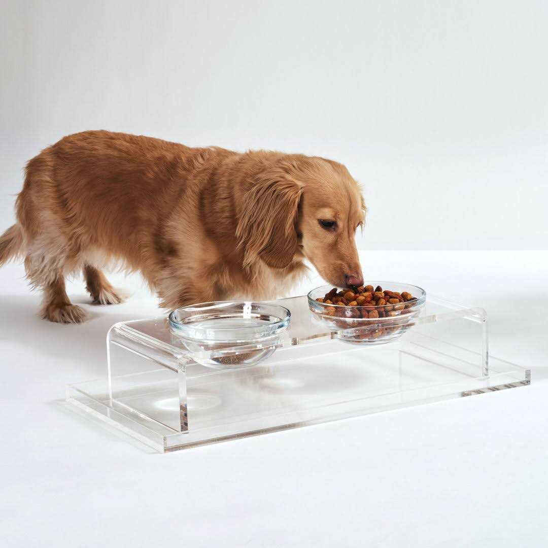 Clear Elevated Glass Bowl Feeder W703918
