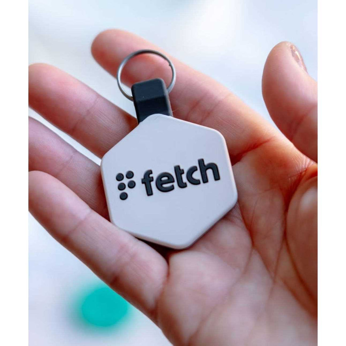 Digital Pet ID Tag T803