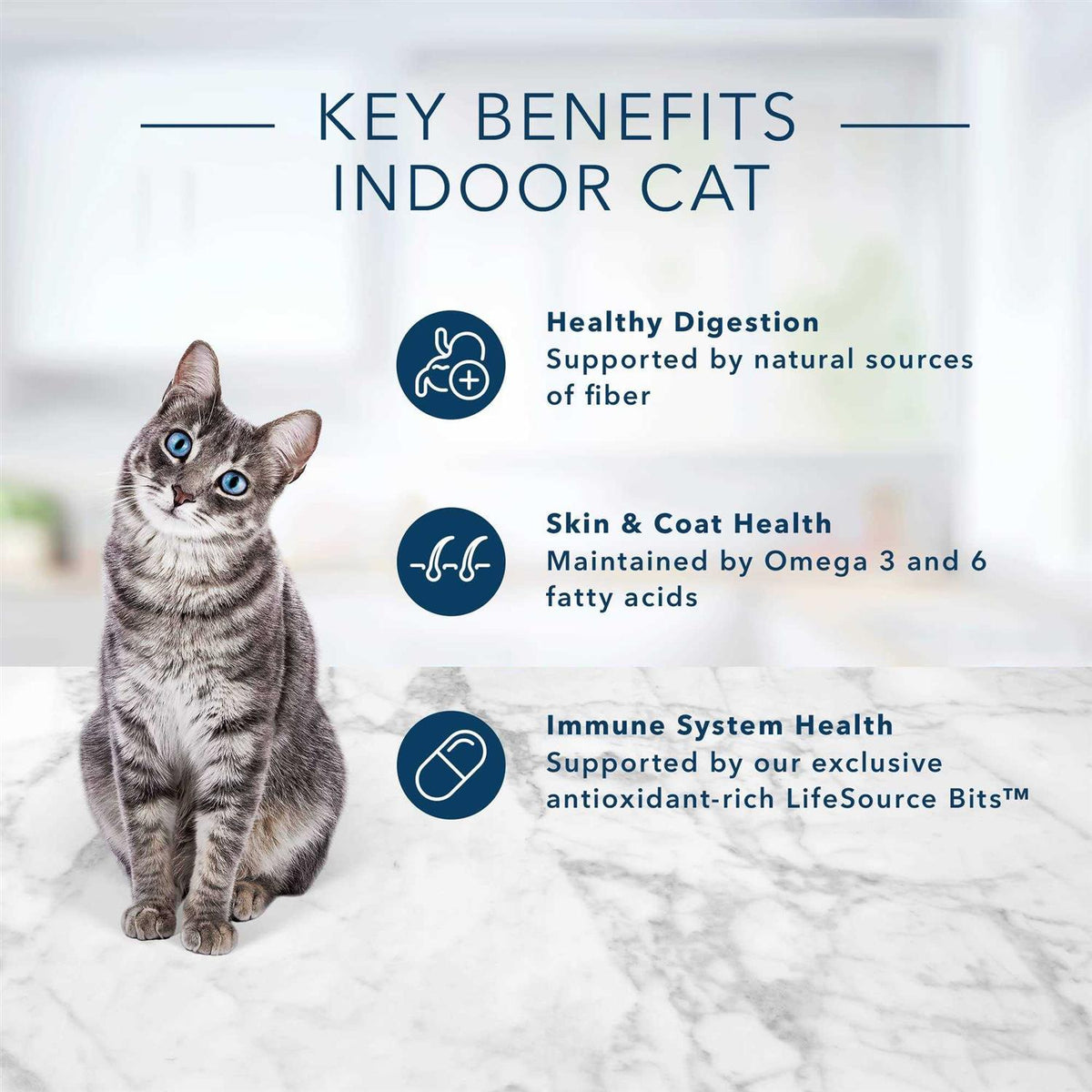 Adult Dry Cat Food J91233
