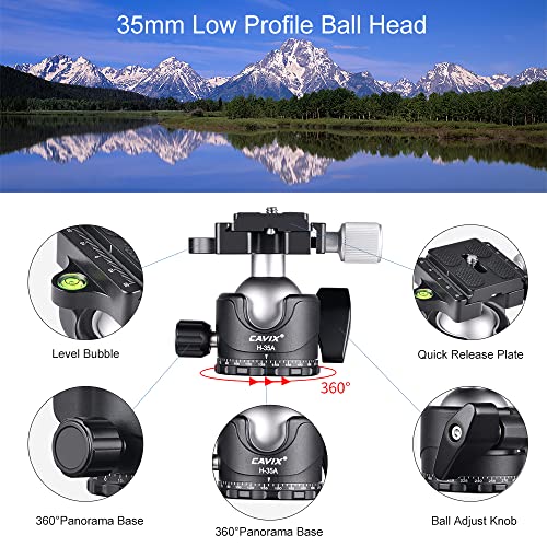 Carbon Fiber Tripod with Ball Head I6129