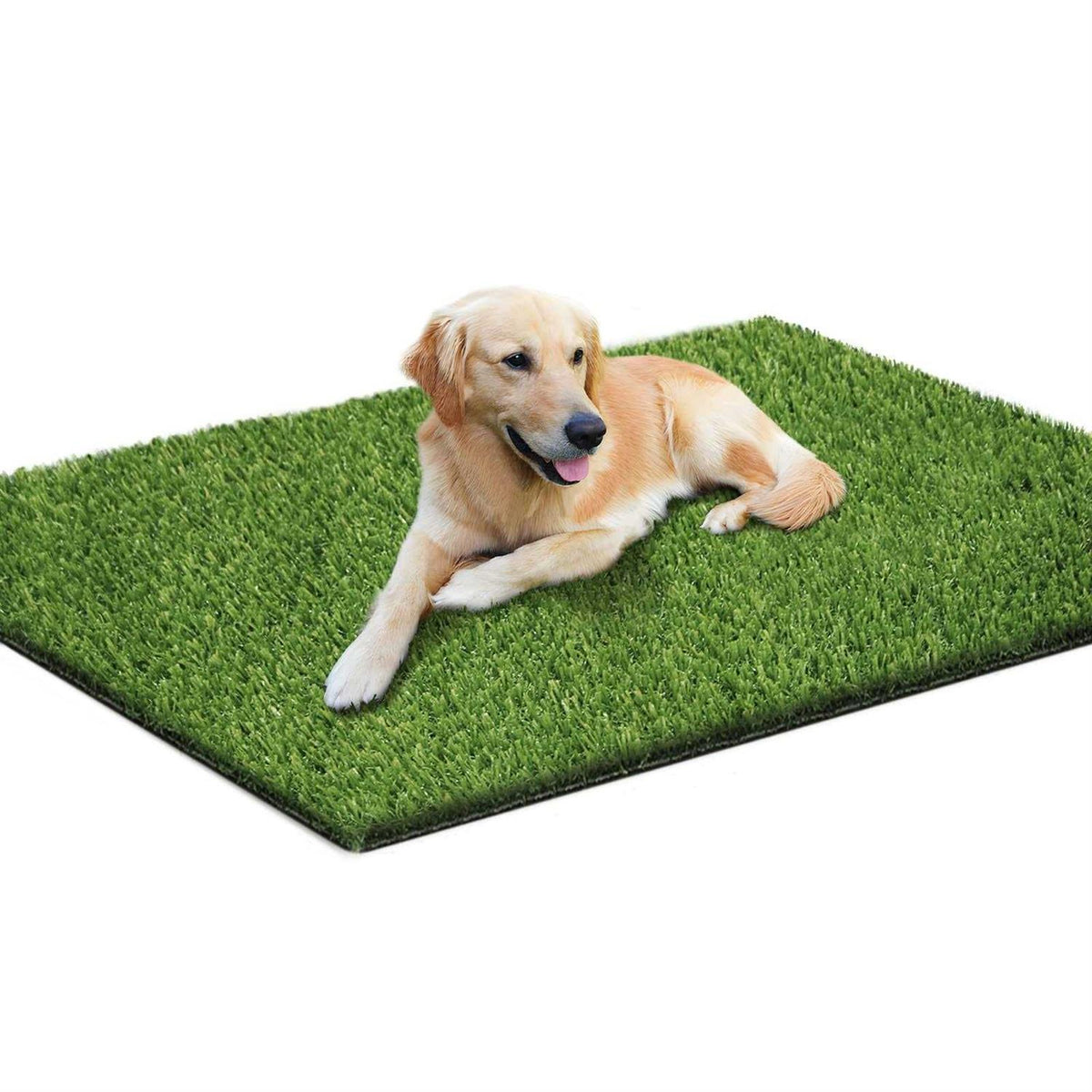 39.4 x 31.5 Inches Washable Artificial Grass Rug I4721
