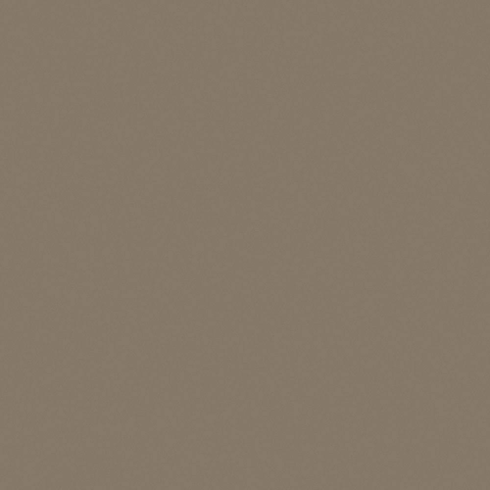 4 ft. x 8 ft. Vertical Grade Laminate Sheet L6447