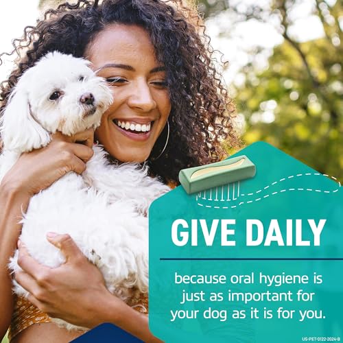 30 Count Dental Chews for Dogs N67350