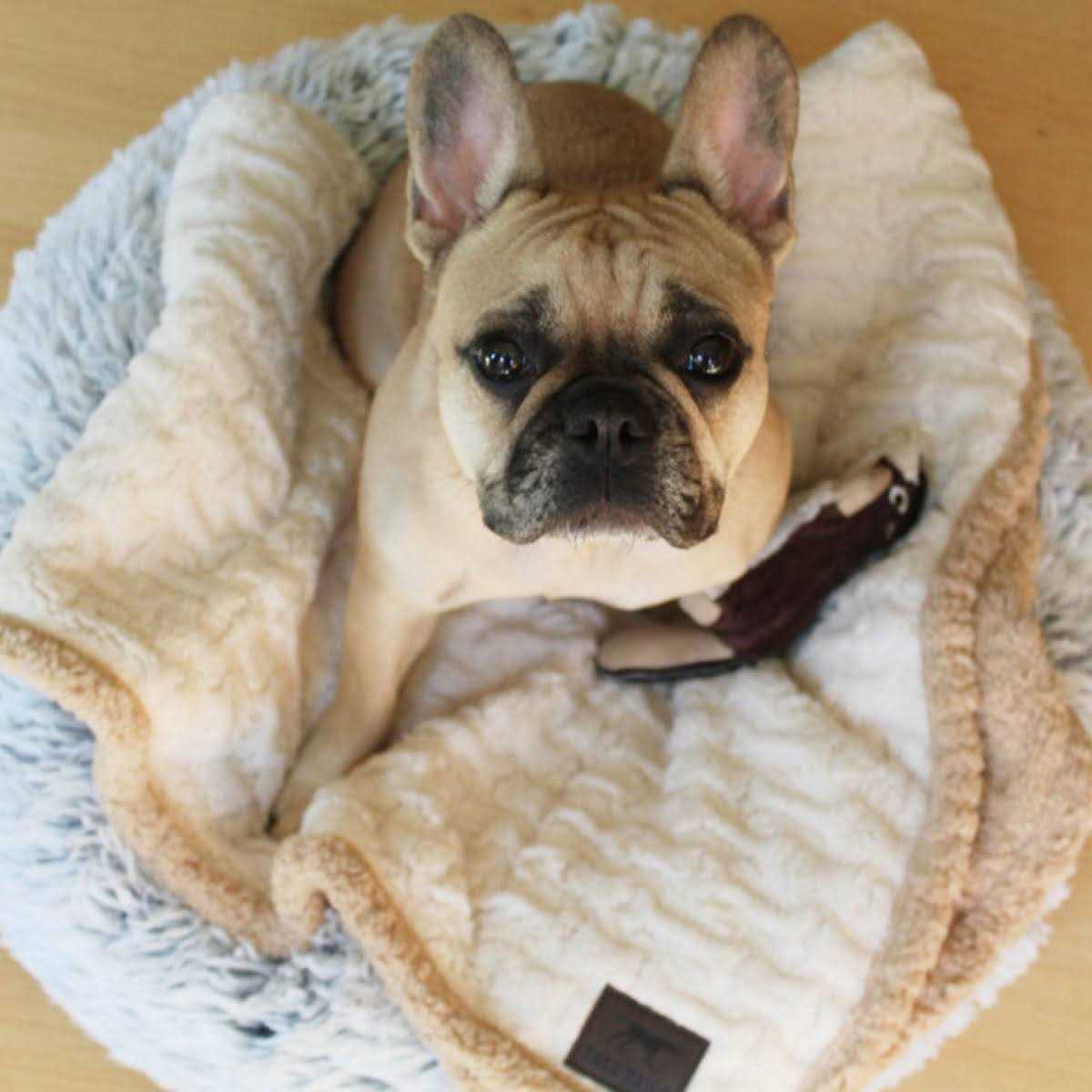 Cuddle Bed L602773