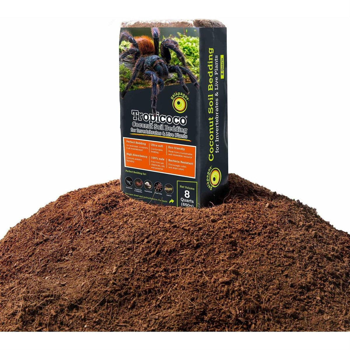 Coconut Soil Invertebrate Bedding B979