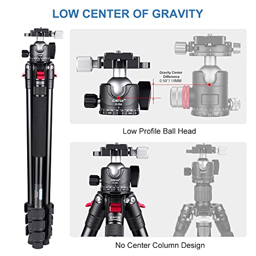 Carbon Fiber Tripod with Ball Head I6129
