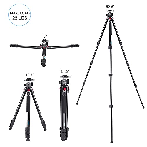 Carbon Fiber Tripod with Ball Head I6129