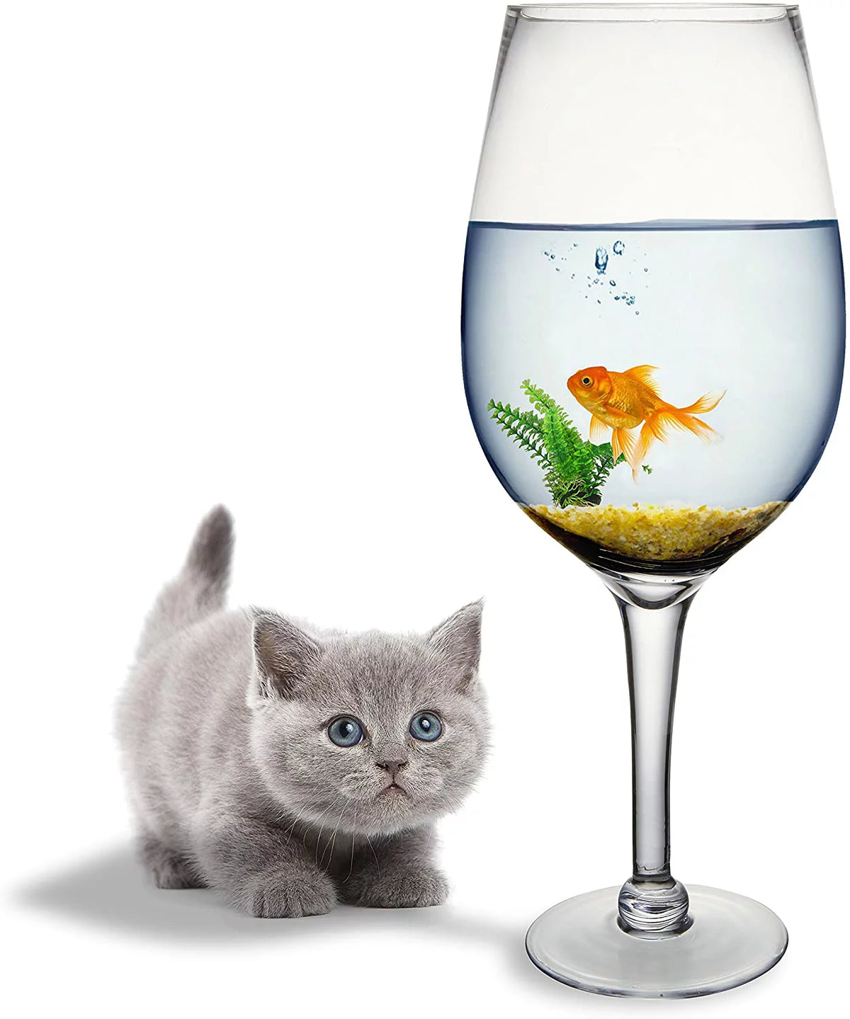 20-Inch Clear Wine Glass N68372