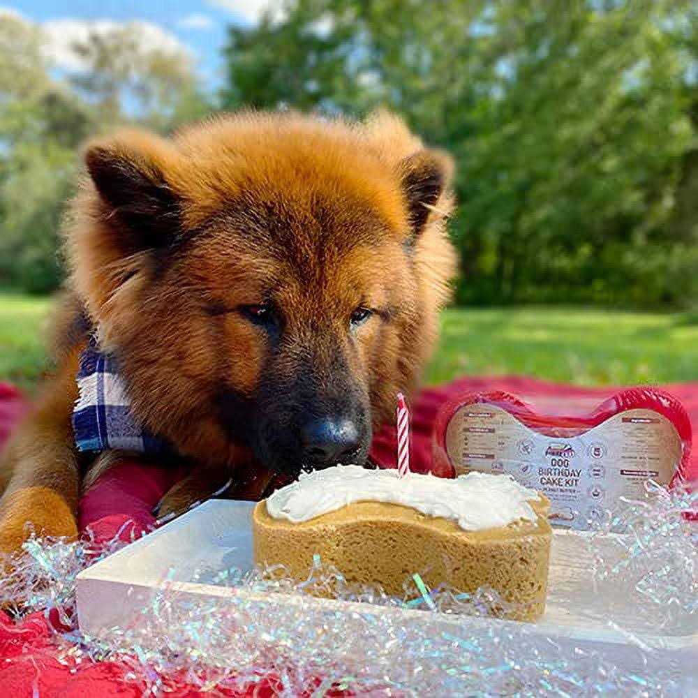 Dog Birthday Cake Kit X6107
