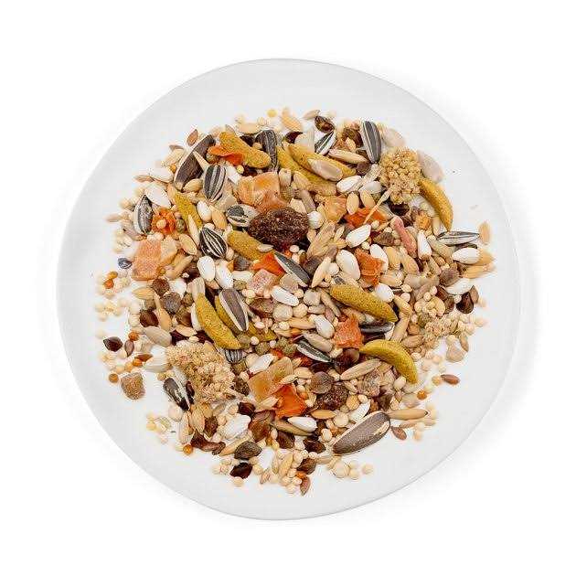 Cockatiel Food T388
