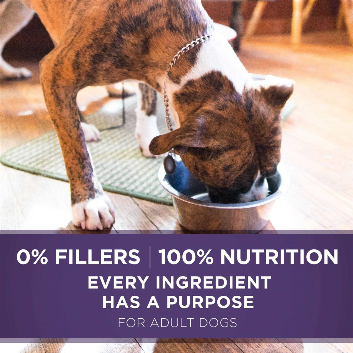 Chicken & Brown Rice Ground Wet Dog Food P6168