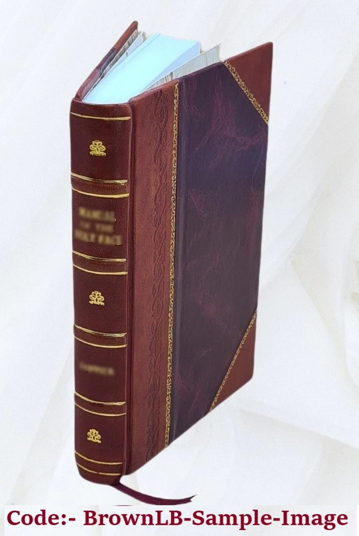 8 juan Leather Bound B3643