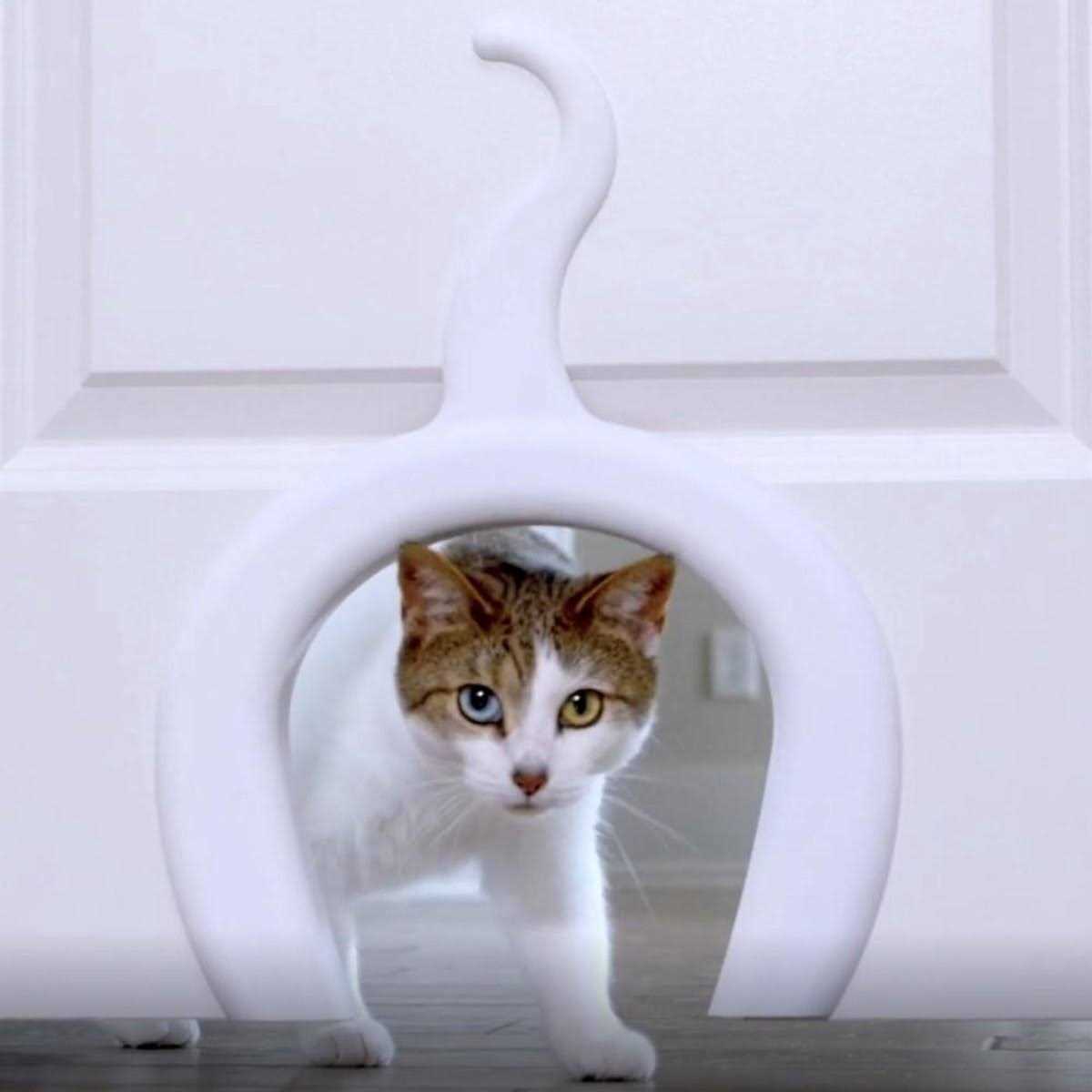 Cat Door for Interior Doors E759