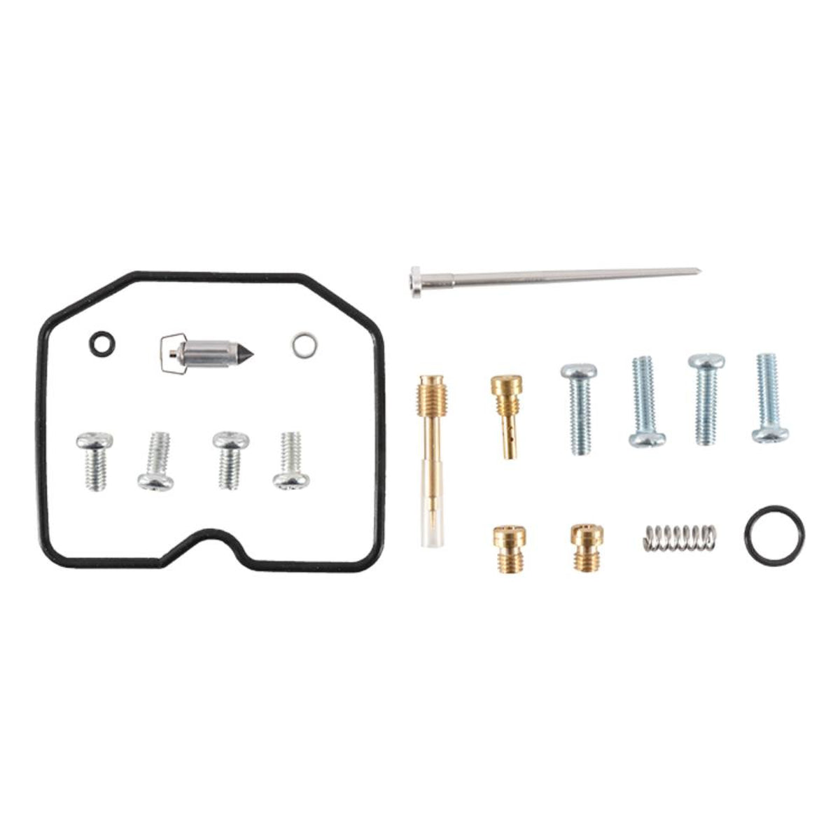 Carburetor Rebuild Kit H67100