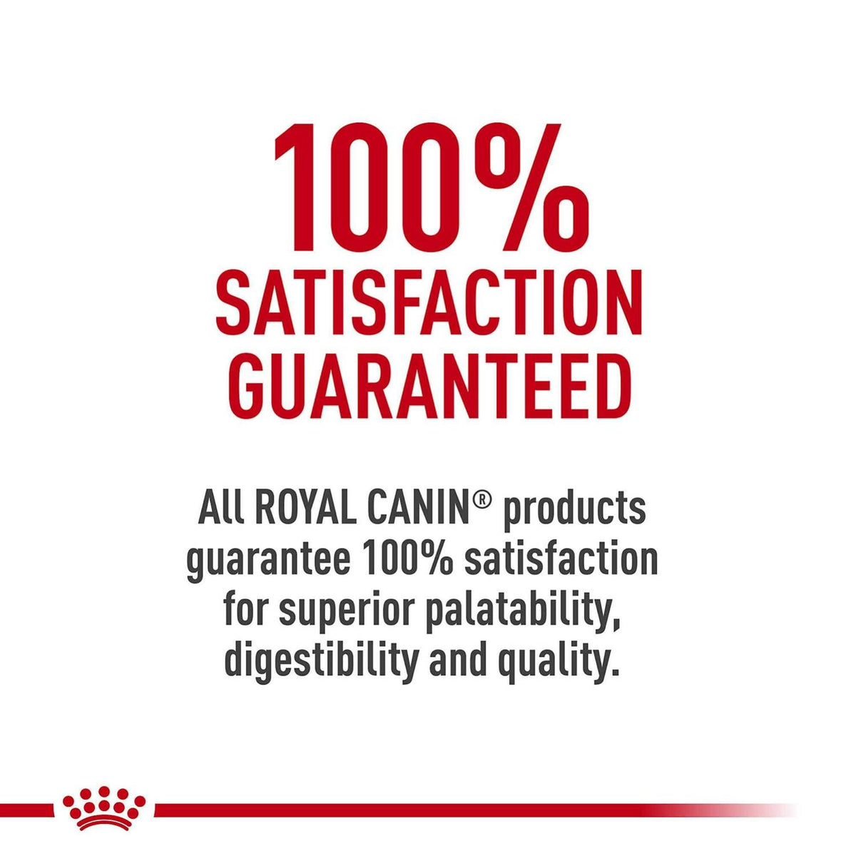 Dry Dog Food Z461734