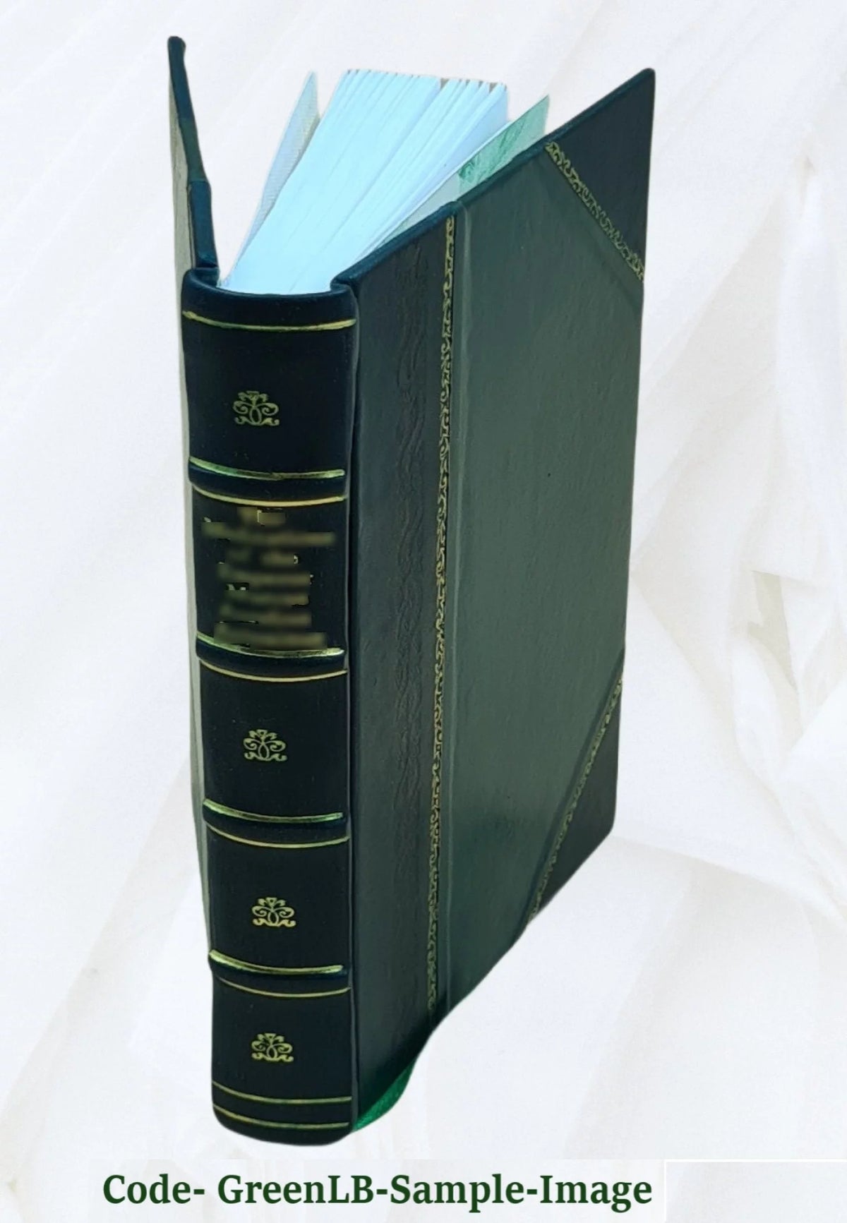 8 juan Leather Bound B3643