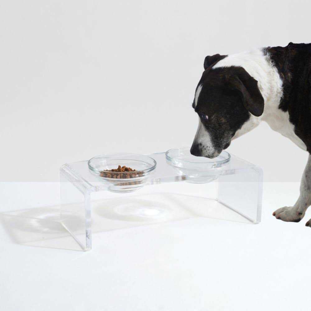 Clear Elevated Glass Bowl Feeder W703918